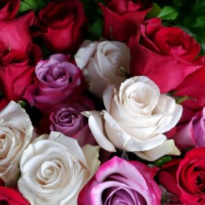 Florist Choice Roses