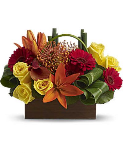 <p>A little box of tropical sunshine! Bright orange, red and yellow blooms form a magical, modern mosaic inside a classic box container.<br />
Flowers including yellow roses, orange asiatic lilies, miniature red gerberas, orange pin cushion protea plus a dark orange miniature calla lily are mixed with bamboo-like equisetum, galax leaves and rolled ti leaves.<br />
Delivered in a brown box container.</p>