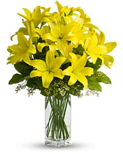 <div id="mark-3" class="m-pdp-tabs-marketing-description">When it comes to spring flowers, the lily reigns supreme. It's easy to see why in this gorgeous bouquet of bright yellow blooms.</div>
<div id="desc-3">
<ul>
 	<li>A fabulous bouquet of yellow asiatic lilies, salal and seeded eucalyptus are delivered in a divine bunch vase.</li>
</ul>
</div>