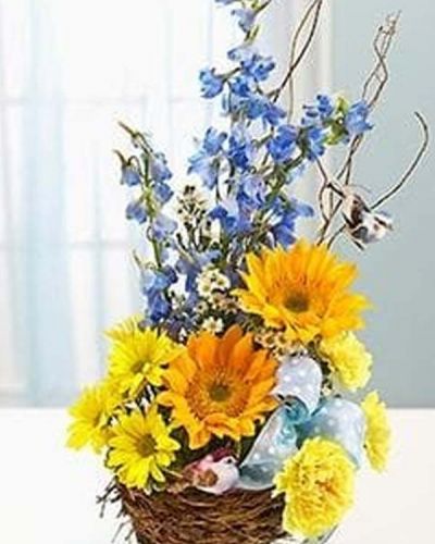 Capture their inner nesting instinct with this Welcome to the World Arrangement sure to delight the new parents. A charming bird's nest basket is filled with a beautiful baby blue and yellow-themed arrangement of delphinium, sunflowers, carnations and daisy poms. This arrangement comes accented with a beautiful blue polka dot ribbon and a pair of playful bird picks.